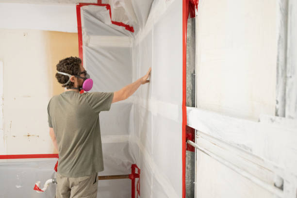 Best Mold Prevention Services  in Clearfield, UT