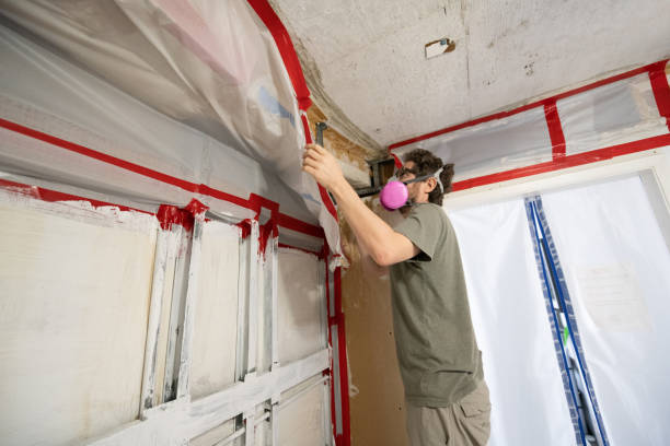 Best Dehumidification Services  in Clearfield, UT