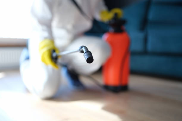 Best Industrial Mold Remediation  in Clearfield, UT
