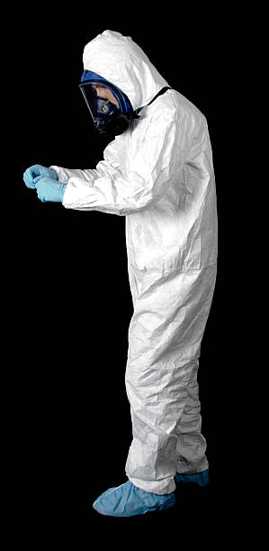 Best Asbestos and Lead Testing During Mold Inspection  in Clearfield, UT